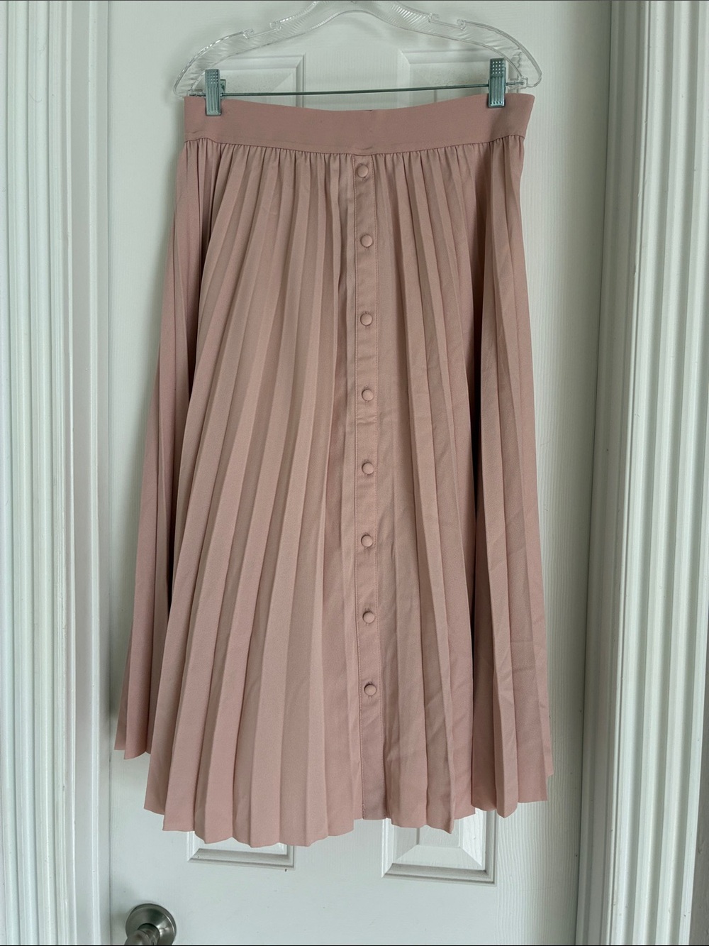 Daniel Rainn Pleated Button-Front Midi Skirt in Blush Pink